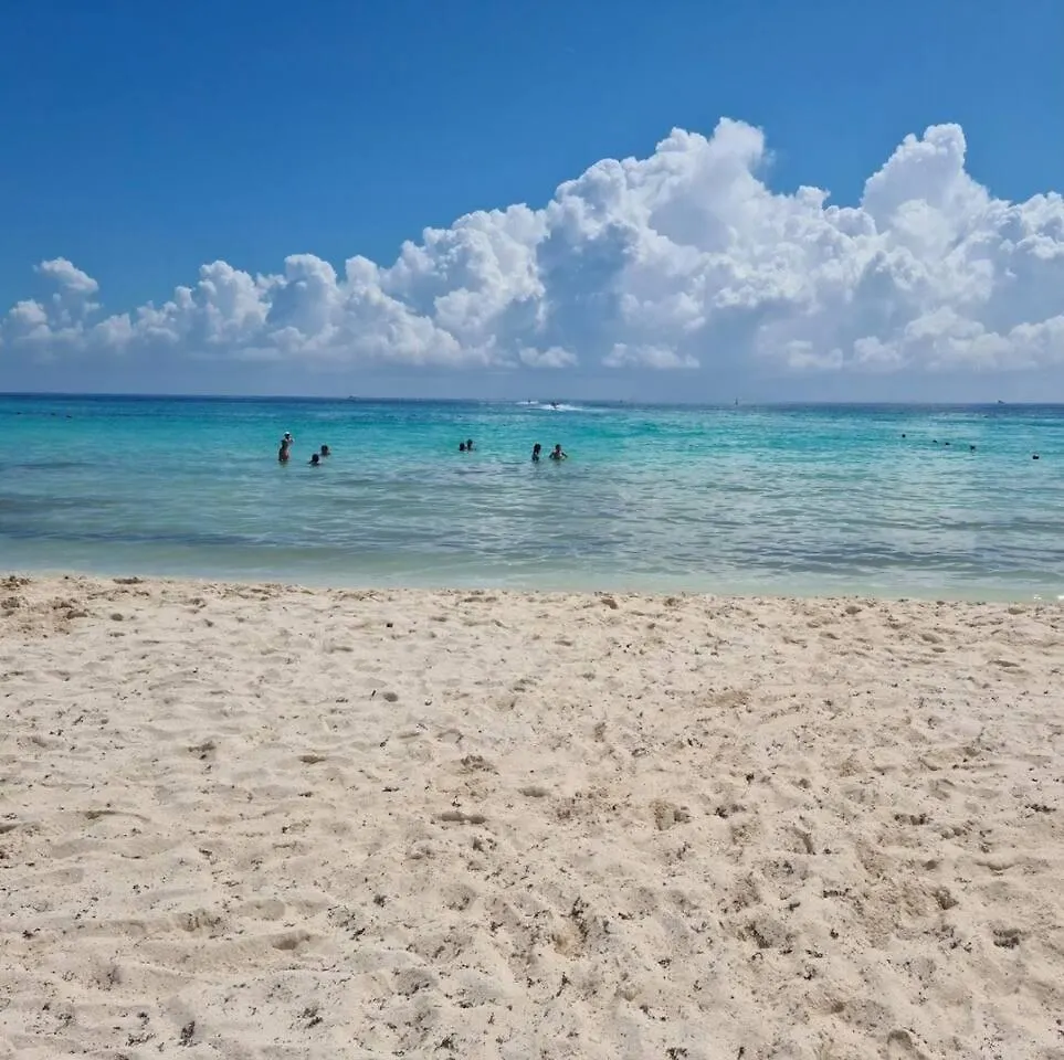 Apartmán Hermoso Depa De 2 Rec En Playa Del Carmen 100Mb